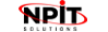 NP IT SOLUTIONS logo